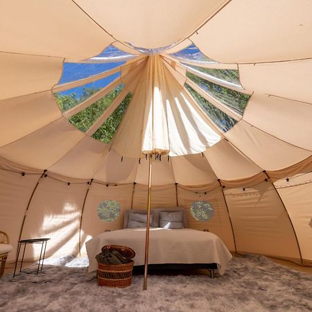 Holmegaard Vin Og Glamping Hotel Dannemare Екстериор снимка
